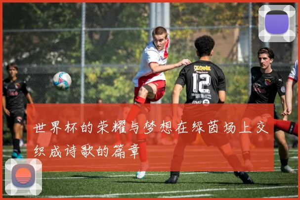 世界杯的荣耀与梦想在绿茵场上交织成诗歌的篇章