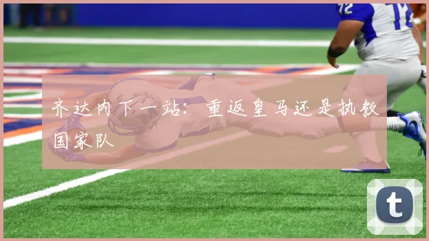 齐达内下一站：重返皇马还是执教国家队