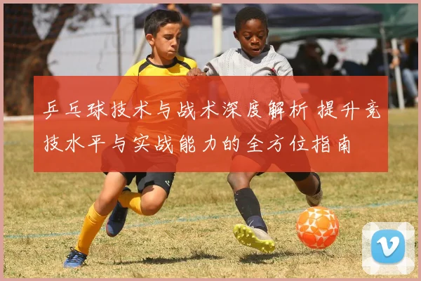 乒乓球技术与战术深度解析 提升竞技水平与实战能力的全方位指南